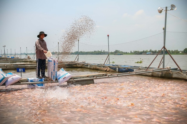 Lựa chọn điểm mua sắm thực phẩm an toàn dịp Tết - 2 Lựa chọn điểm mua sắm thực phẩm an toàn dịp Tết - 2