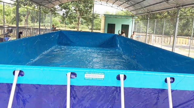 Trao tặng 5 bể bơi di động miễn phí của nhà sản xuất Hoàng Hải - 5 Trao tặng 5 bể bơi di động miễn phí của nhà sản xuất Hoàng Hải - 5