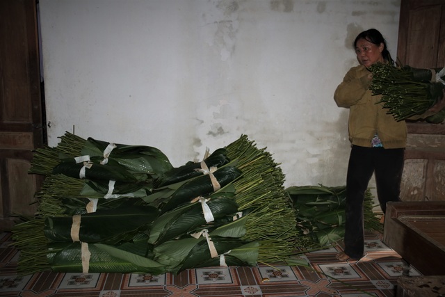 Hà Tĩnh: Thủ phủ lá dong Đức Thọ hối hả vào vụ Tết - 6 Hà Tĩnh: Thủ phủ lá dong Đức Thọ hối hả vào vụ Tết - 6