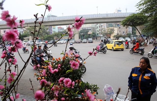 Tết gõ cửa, Hà Nội trang hoàng đón tết Canh Tý 2020 - 8 Tết gõ cửa, Hà Nội trang hoàng đón tết Canh Tý 2020 - 8