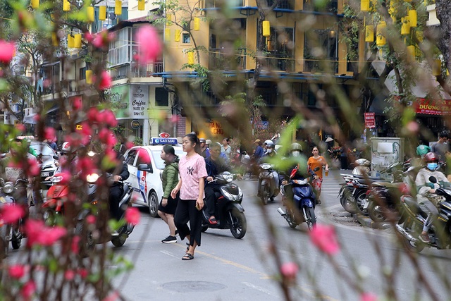 Tết gõ cửa, Hà Nội trang hoàng đón tết Canh Tý 2020 - 3 Tết gõ cửa, Hà Nội trang hoàng đón tết Canh Tý 2020 - 3