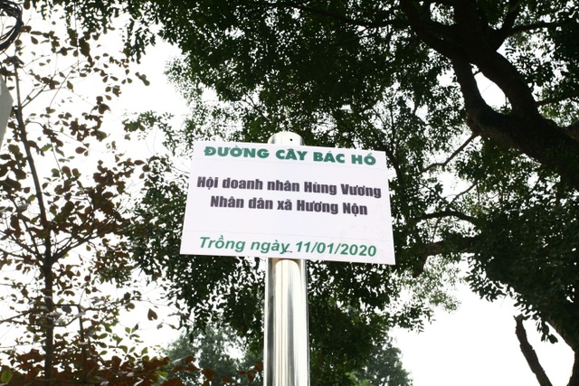 Phát động trồng “Đường cây Bác Hồ” đầu tiên tại Phú Thọ - 3 Phát động trồng “Đường cây Bác Hồ” đầu tiên tại Phú Thọ - 3