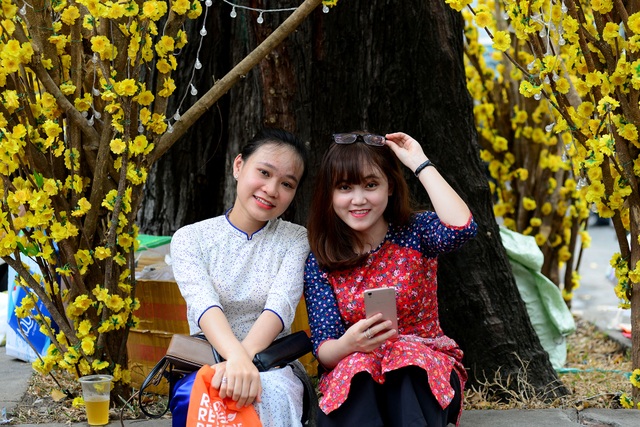 Đường hoa mai, phố ông đồ nhộn nhịp những ngày cuối năm - 3 Đường hoa mai, phố ông đồ nhộn nhịp những ngày cuối năm - 3