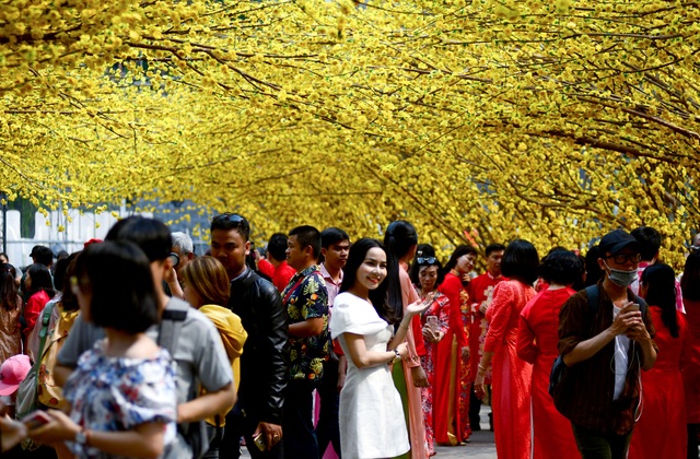 Đường hoa mai, phố ông đồ nhộn nhịp những ngày cuối năm - 1 Đường hoa mai, phố ông đồ nhộn nhịp những ngày cuối năm - 1