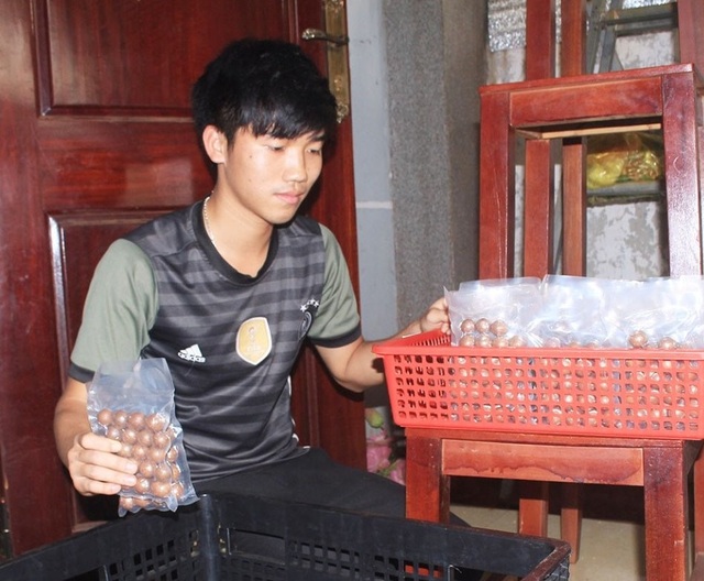 Macca cháy hàng dịp Tết tại Đắk Nông, lương nhân công tăng thêm 1,5 triệu đồng - 2 Macca cháy hàng dịp Tết tại Đắk Nông, lương nhân công tăng thêm 1,5 triệu đồng - 2