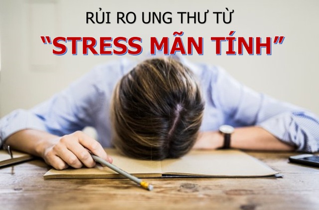 Stress kéo dài “nuôi dưỡng” mầm mống ung thư - 1 Stress kéo dài “nuôi dưỡng” mầm mống ung thư - 1