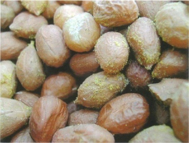 5 vật dụng tiềm ẩn nguy cơ gây ung thư “khủng” nhất luôn có mặt trong bếp nhà bạn - 1 5 vật dụng tiềm ẩn nguy cơ gây ung thư “khủng” nhất luôn có mặt trong bếp nhà bạn - 1