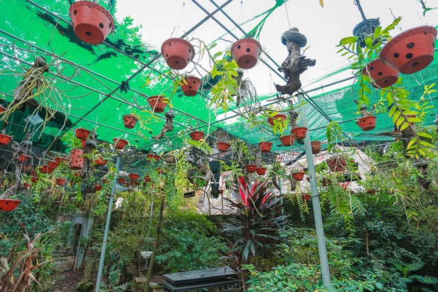 Vẻ đẹp ngôi nhà cổ Bắc Bộ trăm tuổi “hiếm có, khó tìm” giữa Hà Nội - 12 Vẻ đẹp ngôi nhà cổ Bắc Bộ trăm tuổi “hiếm có, khó tìm” giữa Hà Nội - 12