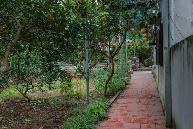Vẻ đẹp ngôi nhà cổ Bắc Bộ trăm tuổi “hiếm có, khó tìm” giữa Hà Nội - 10 Vẻ đẹp ngôi nhà cổ Bắc Bộ trăm tuổi “hiếm có, khó tìm” giữa Hà Nội - 10
