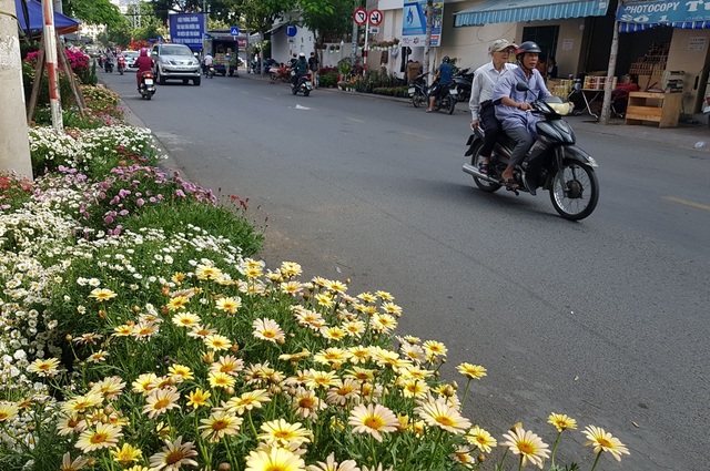 Nha Trang ngập tràn sắc xuân, du khách háo hức dạo phố đèn lồng - 4