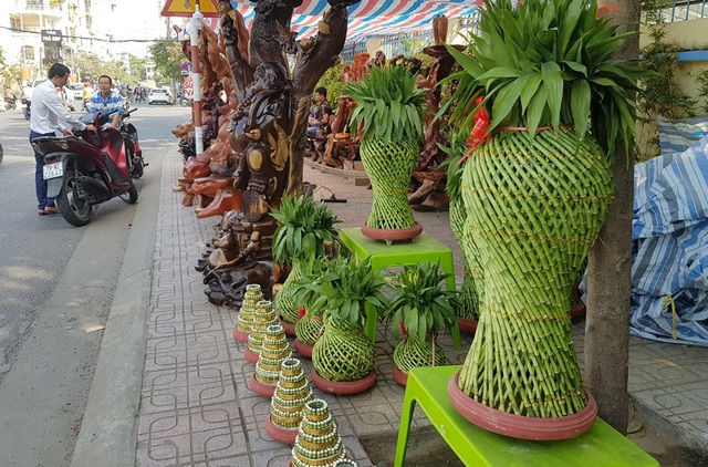 Nha Trang ngập tràn sắc xuân, du khách háo hức dạo phố đèn lồng - 6