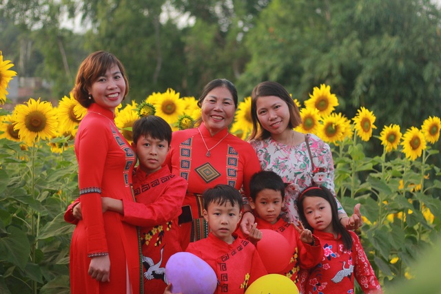 Mãn nhãn với vườn “hoa mặt trời” trên Cao Nguyên - 3 Mãn nhãn với vườn “hoa mặt trời” trên Cao Nguyên - 3