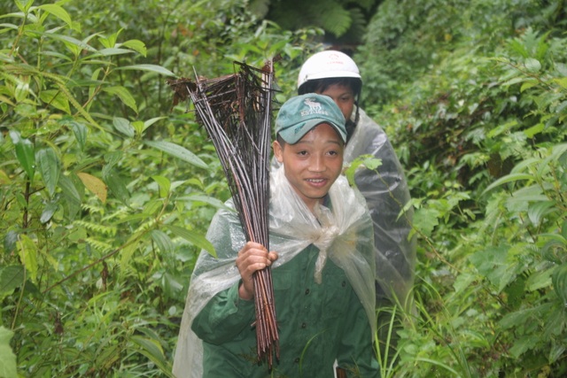 Lên cổng trời Ngọc Linh săn “chuột quý tộc” - 2 Lên cổng trời Ngọc Linh săn “chuột quý tộc” - 2