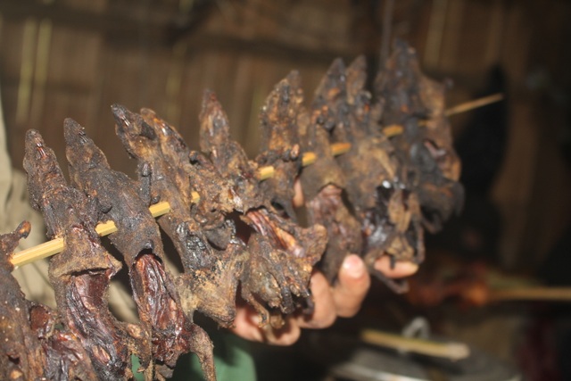 Lên cổng trời Ngọc Linh săn “chuột quý tộc” - 5 Lên cổng trời Ngọc Linh săn “chuột quý tộc” - 5