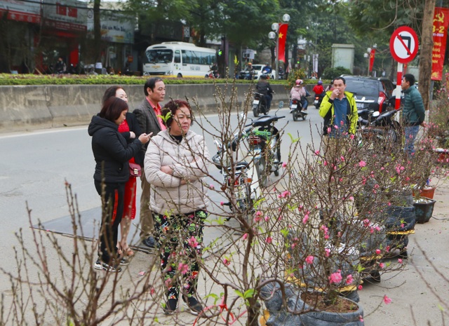 Độc đáo “chuột đá cõng đào bonsai” giá bạc triệu hút khách dịp tết - 9 Độc đáo “chuột đá cõng đào bonsai” giá bạc triệu hút khách dịp tết - 9