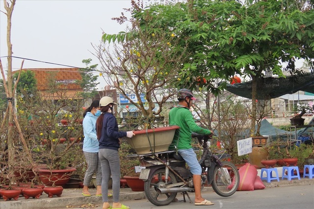 Kiếm dễ chục triệu bằng nghề chở kiểng ngày Tết - 2 Kiếm dễ chục triệu bằng nghề chở kiểng ngày Tết - 2