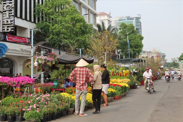 Kiếm dễ chục triệu bằng nghề chở kiểng ngày Tết - 3 Kiếm dễ chục triệu bằng nghề chở kiểng ngày Tết - 3