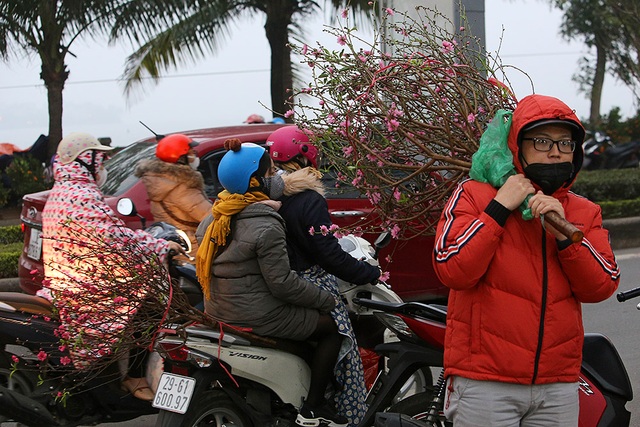 Sôi động chợ hoa Tết lớn nhất Hà Nội - 11 Sôi động chợ hoa Tết lớn nhất Hà Nội - 11