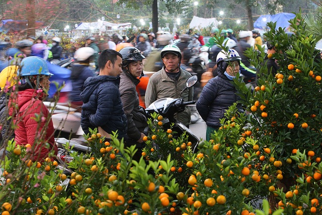 Sôi động chợ hoa Tết lớn nhất Hà Nội - 7 Sôi động chợ hoa Tết lớn nhất Hà Nội - 7