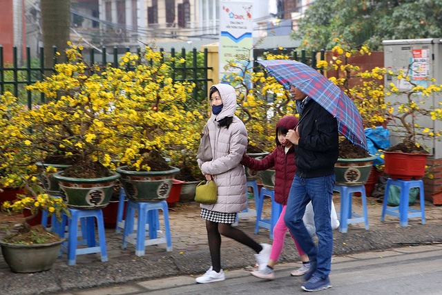 Sôi động chợ hoa Tết lớn nhất Hà Nội - 9 Sôi động chợ hoa Tết lớn nhất Hà Nội - 9