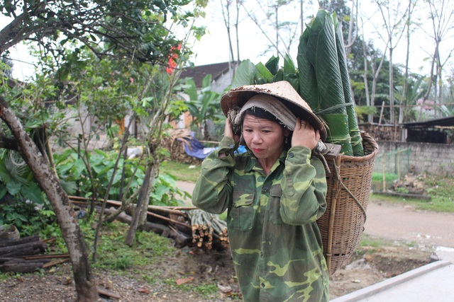 Xuyên rừng hái lá dong, kiếm tiền triệu dịp Tết - 2 Xuyên rừng hái lá dong, kiếm tiền triệu dịp Tết - 2