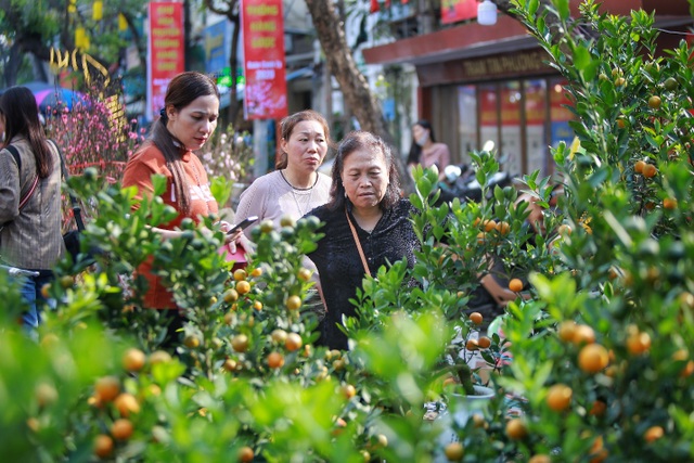 Dòng người chen chân mua sắm Tết ở chợ hoa lâu đời nhất Hà Nội - 11