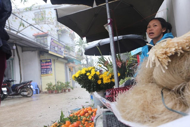 Hình ảnh người Đồng Tâm trưng đào, quất cảnh đón Tết - 6 Hình ảnh người Đồng Tâm trưng đào, quất cảnh đón Tết - 6