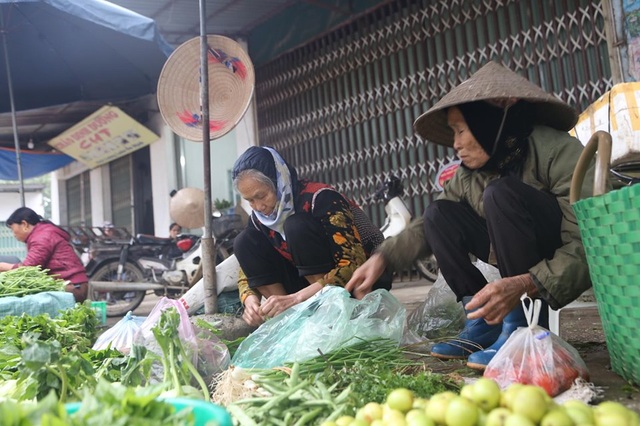 Hình ảnh người Đồng Tâm trưng đào, quất cảnh đón Tết - 5 Hình ảnh người Đồng Tâm trưng đào, quất cảnh đón Tết - 5