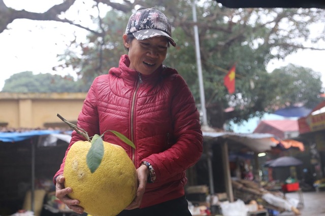 Hình ảnh người Đồng Tâm trưng đào, quất cảnh đón Tết - 9 Hình ảnh người Đồng Tâm trưng đào, quất cảnh đón Tết - 9