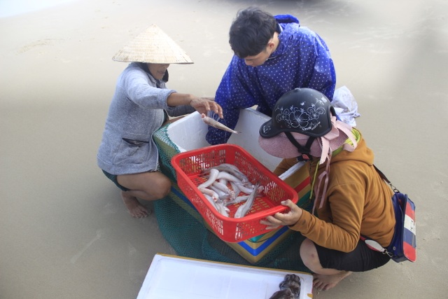 Ngư dân vùng bãi ngang “chạy đua” với thời gian kiếm tiền sắm Tết - 10 Ngư dân vùng bãi ngang “chạy đua” với thời gian kiếm tiền sắm Tết - 10