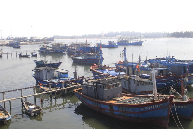 Ngư dân vùng bãi ngang “chạy đua” với thời gian kiếm tiền sắm Tết - 1 Ngư dân vùng bãi ngang “chạy đua” với thời gian kiếm tiền sắm Tết - 1
