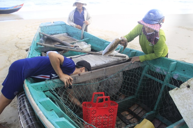 Ngư dân vùng bãi ngang “chạy đua” với thời gian kiếm tiền sắm Tết - 5 Ngư dân vùng bãi ngang “chạy đua” với thời gian kiếm tiền sắm Tết - 5