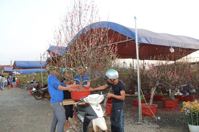 hinh-5-1579485421992.jpg