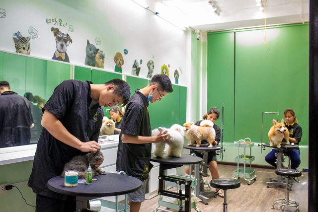 Rút hầu bao tiền triệu để làm đẹp cho thú cưng đón Tết - 1 Rút hầu bao tiền triệu để làm đẹp cho thú cưng đón Tết - 1