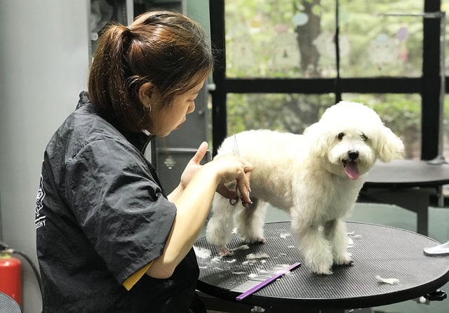 Rút hầu bao tiền triệu để làm đẹp cho thú cưng đón Tết - 2 Rút hầu bao tiền triệu để làm đẹp cho thú cưng đón Tết - 2