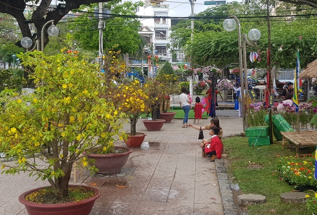 Nha Trang: Công viên bờ biển ngập sắc hoa, người dân náo nức du xuân sớm - 2