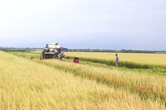 Nơi ra đời chi bộ Đảng đầu tiên tại Quảng Trị - 5 Nơi ra đời chi bộ Đảng đầu tiên tại Quảng Trị - 5