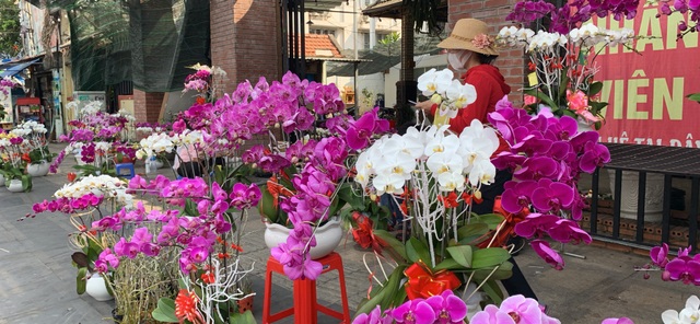 Tiểu thương quyết không giảm giá hoa dù cận Tết - 1 Tiểu thương quyết không giảm giá hoa dù cận Tết - 1