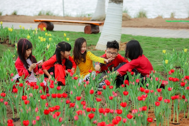 Thành phố Hải Dương lần đầu tiên có lễ hội ngàn hoa - Ảnh minh hoạ 3