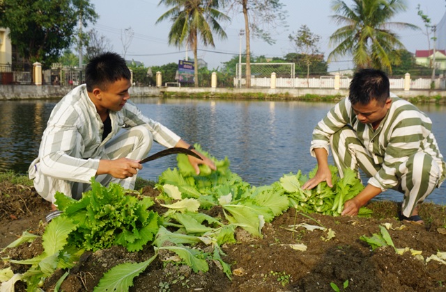 Lắng lòng bên mâm cơm tất niên ở trại giam - 2 Lắng lòng bên mâm cơm tất niên ở trại giam - 2