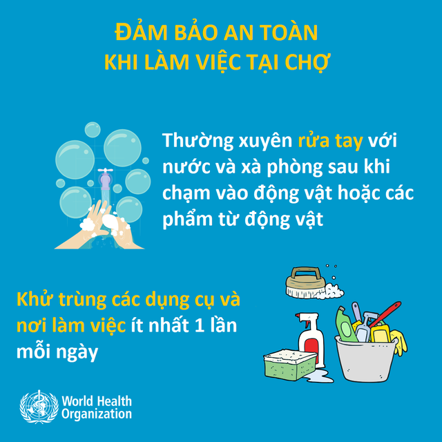 Chuyên gia hướng dẫn ngăn ngừa nguy cơ nhiễm virus viêm phổi lạ Vũ Hán - 12 Chuyên gia hướng dẫn ngăn ngừa nguy cơ nhiễm virus viêm phổi lạ Vũ Hán - 12