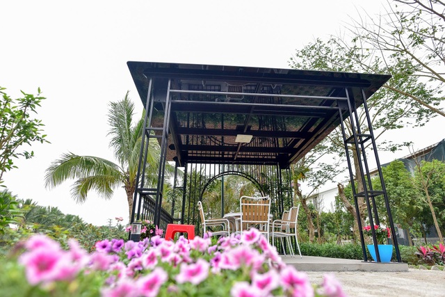 Bỏ “đất vàng” phố cổ, vợ chồng U70 chi bạc tỷ về ngoại ô nuôi cá, trồng rau - 7 Bỏ “đất vàng” phố cổ, vợ chồng U70 chi bạc tỷ về ngoại ô nuôi cá, trồng rau - 7