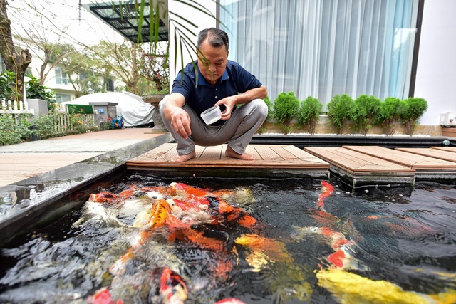Bỏ “đất vàng” phố cổ, vợ chồng U70 chi bạc tỷ về ngoại ô nuôi cá, trồng rau - 11 Bỏ “đất vàng” phố cổ, vợ chồng U70 chi bạc tỷ về ngoại ô nuôi cá, trồng rau - 11