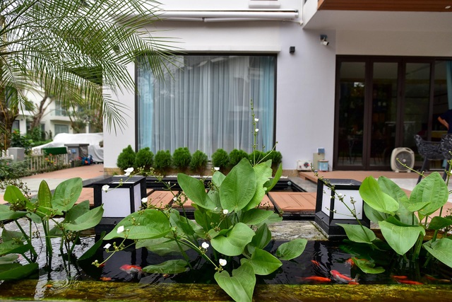 Bỏ “đất vàng” phố cổ, vợ chồng U70 chi bạc tỷ về ngoại ô nuôi cá, trồng rau - 12 Bỏ “đất vàng” phố cổ, vợ chồng U70 chi bạc tỷ về ngoại ô nuôi cá, trồng rau - 12