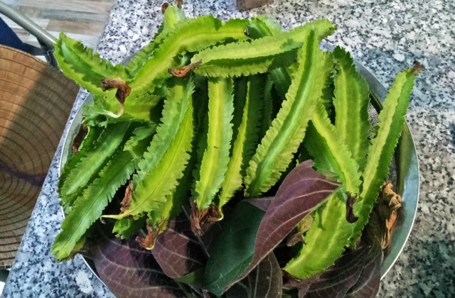 Kiếm 1 tỷ/ tháng, bà chủ trung tâm tiếng Anh ở Hà Nội quyết bỏ phố về quê - 5 Kiếm 1 tỷ/ tháng, bà chủ trung tâm tiếng Anh ở Hà Nội quyết bỏ phố về quê - 5