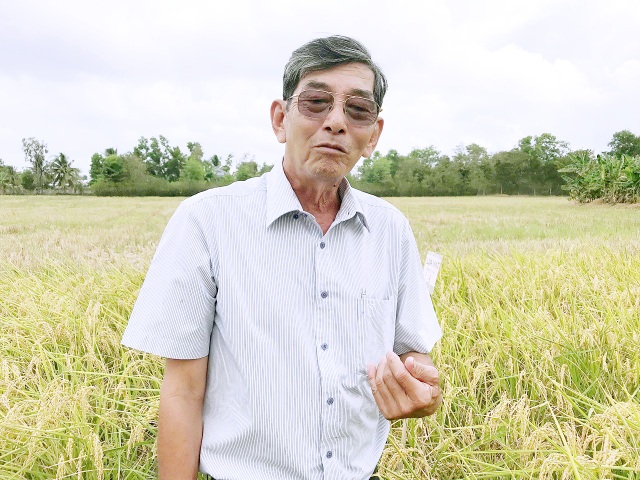 Kỹ sư Hồ Quang Cua - Từ cây lúa lạ đến giống gạo ngon nhất thế giới - 1 Kỹ sư Hồ Quang Cua - Từ cây lúa lạ đến giống gạo ngon nhất thế giới - 1