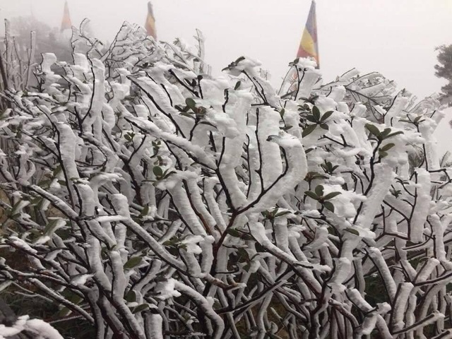 Băng tuyết lại phủ trắng, đỉnh Fansipan Sa Pa đẹp như trời Âu - 4