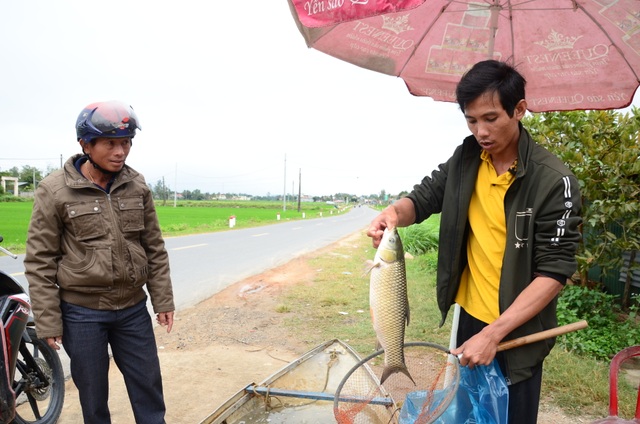 Làng nuôi cá lồng hốt bạc dịp đầu Xuân - 3 Làng nuôi cá lồng hốt bạc dịp đầu Xuân - 3