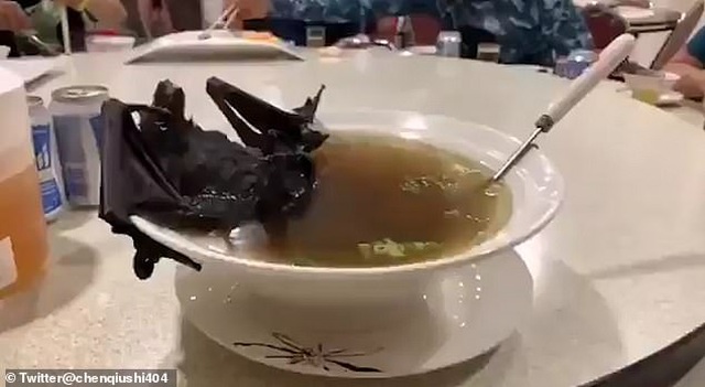 Video cô gái ăn súp dơi gây phẫn nộ giữa cơn bão dịch virus corona - 2 Video cô gái ăn súp dơi gây phẫn nộ giữa cơn bão dịch virus corona - 2