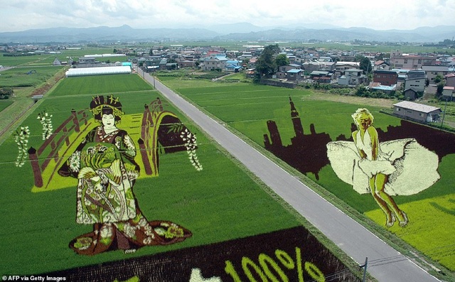 Những cánh đồng lúa “chất chơi” của nông dân Nhật Bản - 1